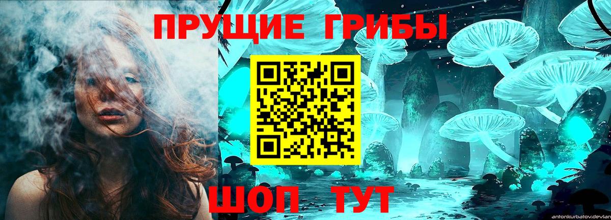 Балашов  Псилоцибиновые грибы Psilocybine cubensis  наркота  Вход с VPN 